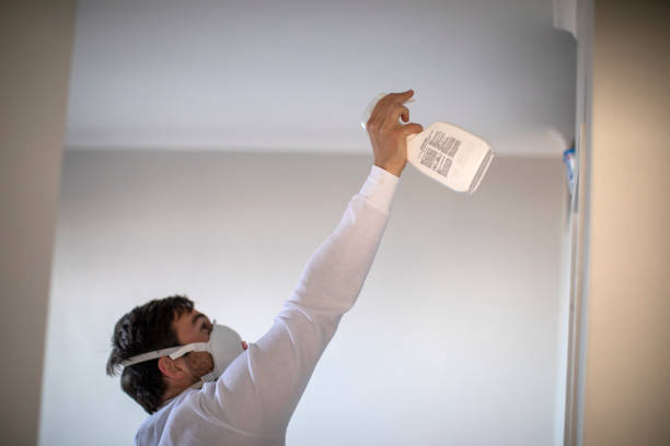 Best Emergency Mold Removal  in Rosemead, CA