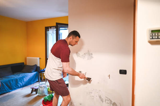 Best Fast Mold Removal  in Rosemead, CA